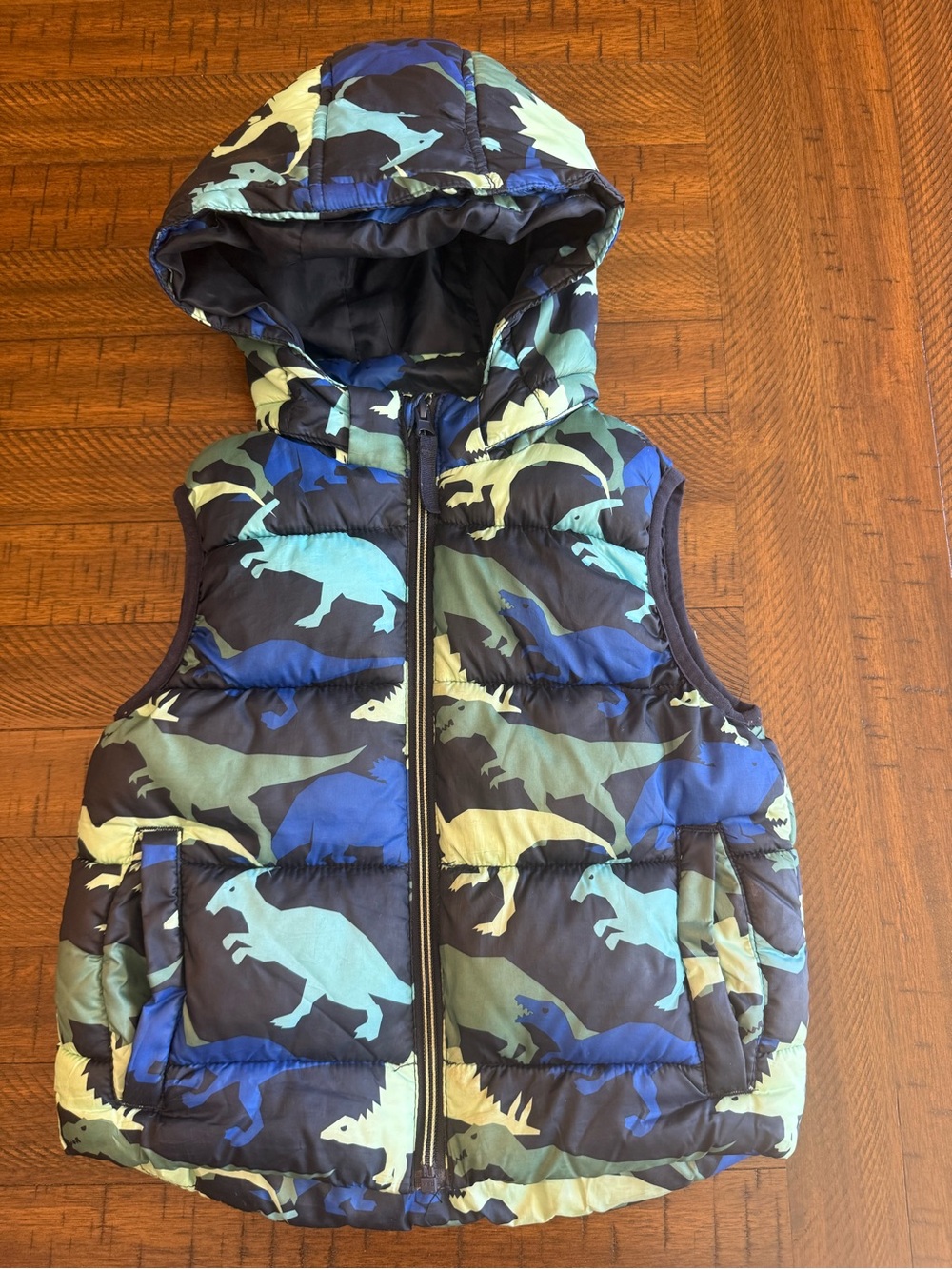 Dinosaur Fall/Winter Puffer Vest - Blue & Green